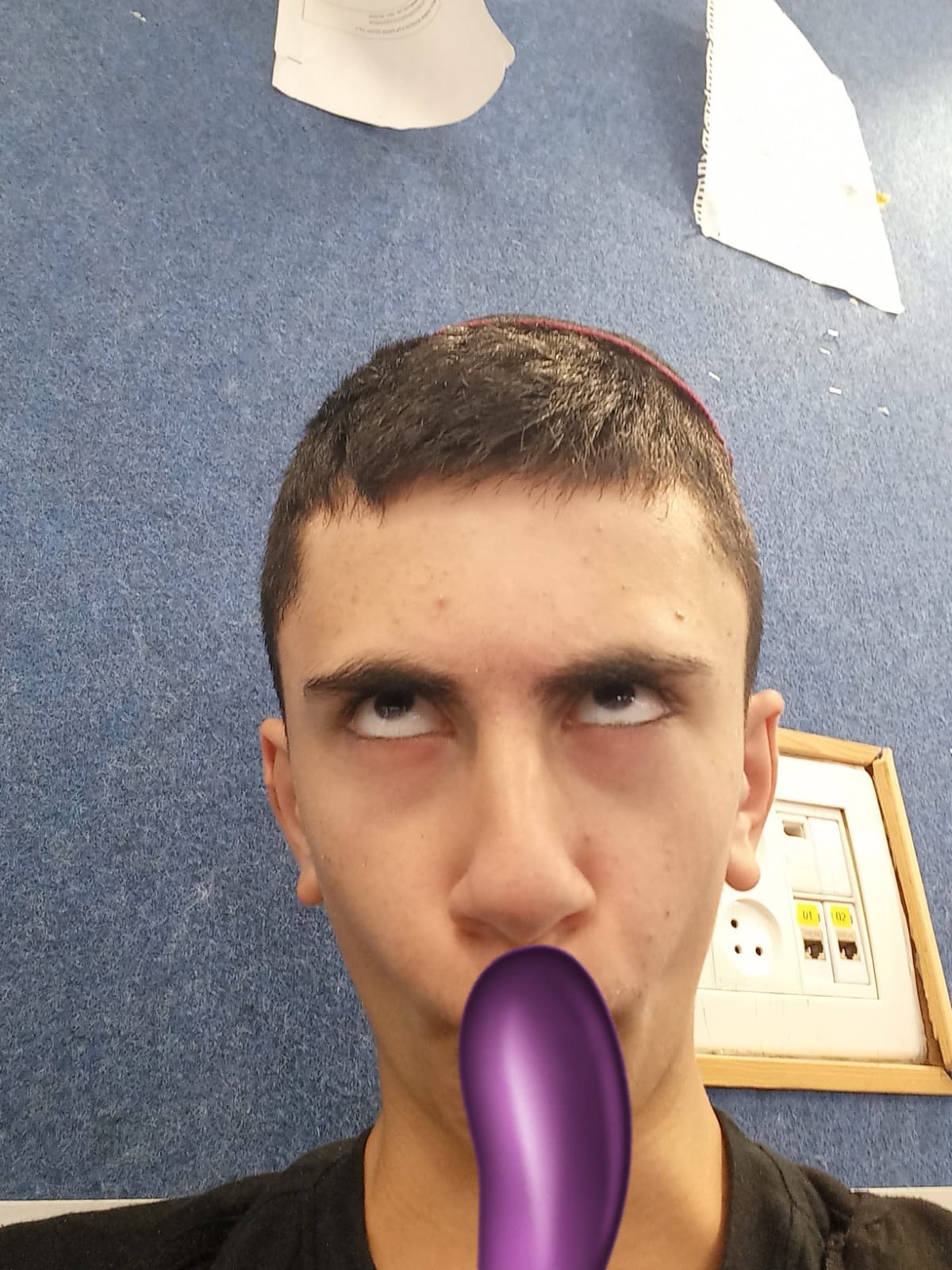 חתולינון